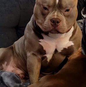 Meet your Posher, Mike